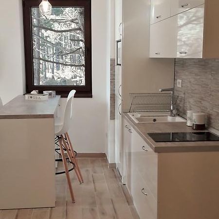Zlatibor Wood Διαμέρισμα Εξωτερικό φωτογραφία