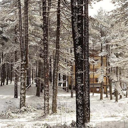 Zlatibor Wood Διαμέρισμα Εξωτερικό φωτογραφία