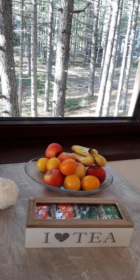 Zlatibor Wood Διαμέρισμα Εξωτερικό φωτογραφία