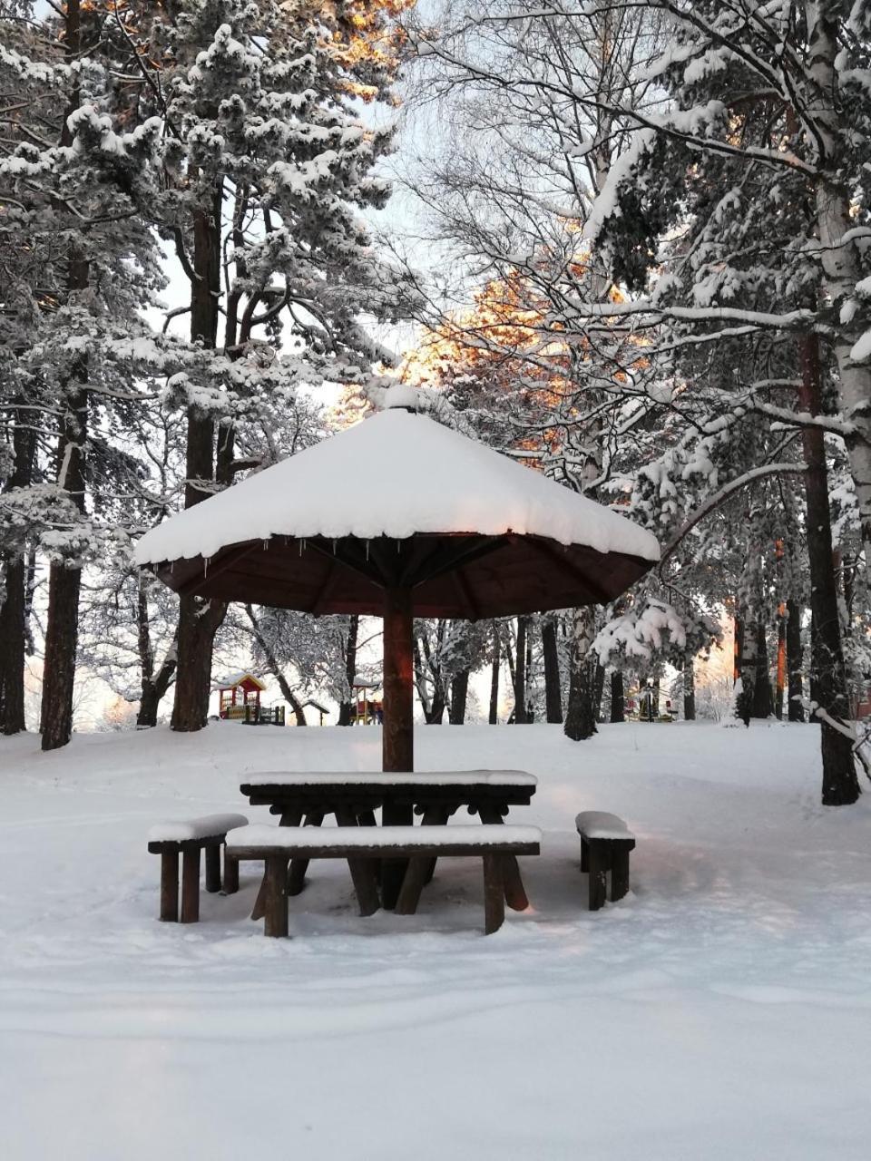 Zlatibor Wood Διαμέρισμα Εξωτερικό φωτογραφία